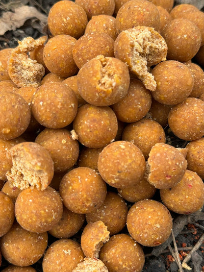 Spicy coco, Steady baits